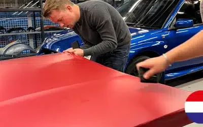 Spécialiste des enseignes automobiles en néerlandais