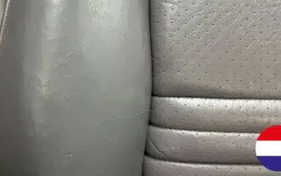 Detailing PLUS avec la langue néerlandaise