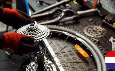 Technicien de bicyclette avec des compétences linguistiques en néerlandais