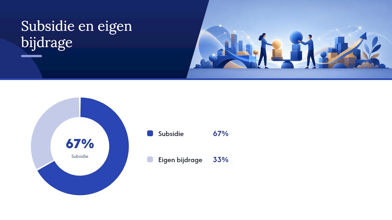 Overzicht met de belangrijkste subsidiebedragen en -grenzen