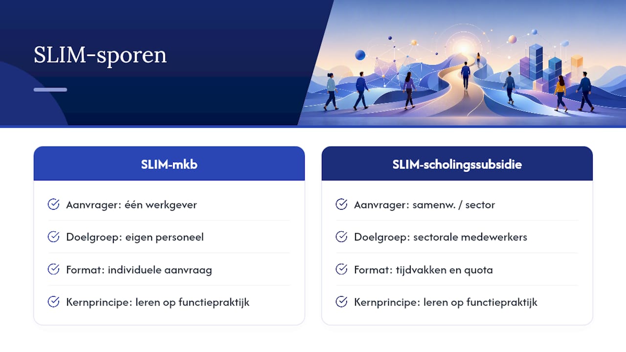 Vergelijking van twee SLIM-subsidiestromen naast elkaar