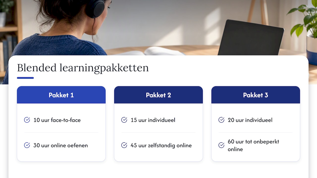 Hybride leren bij Bogaers Taleninstituut — overview diagram