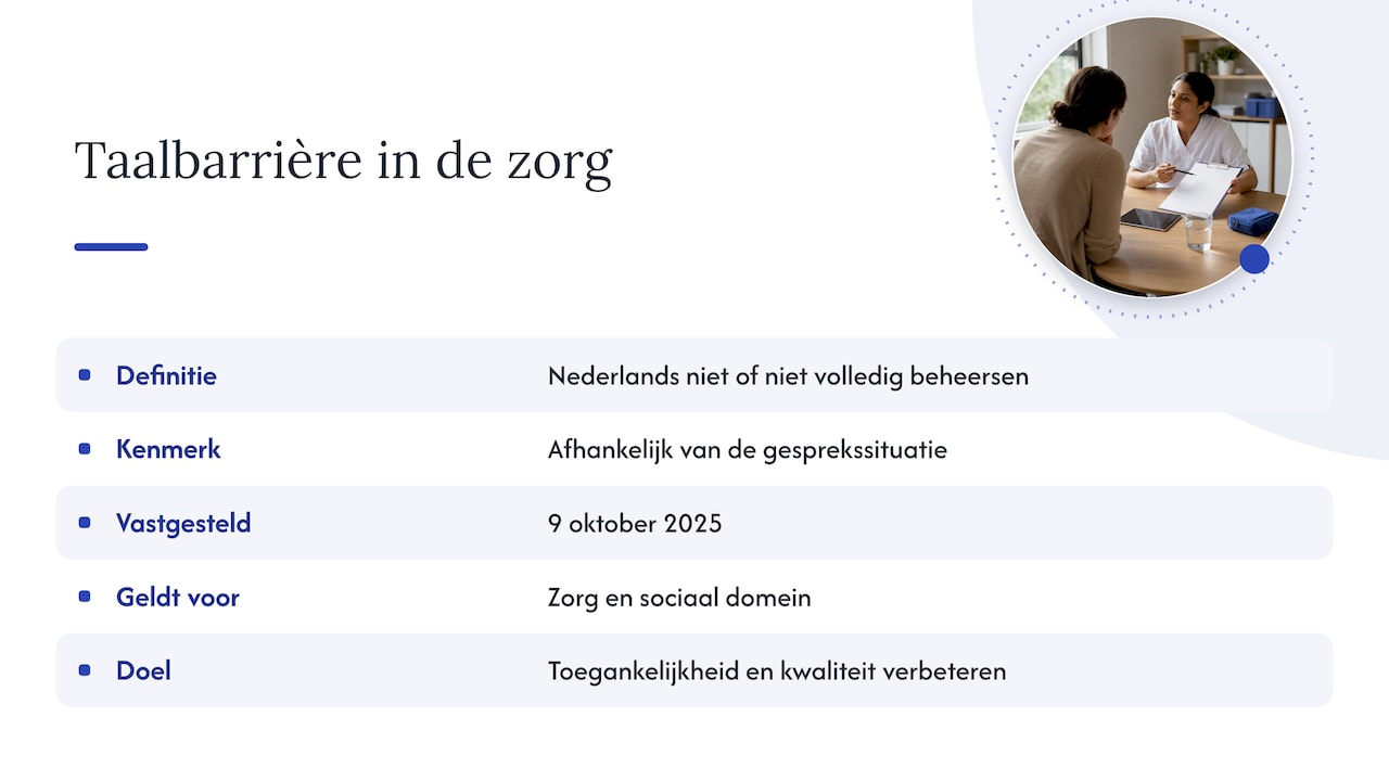 Wat bedoelen we met een taalbarrière in de zorg? — overview diagram